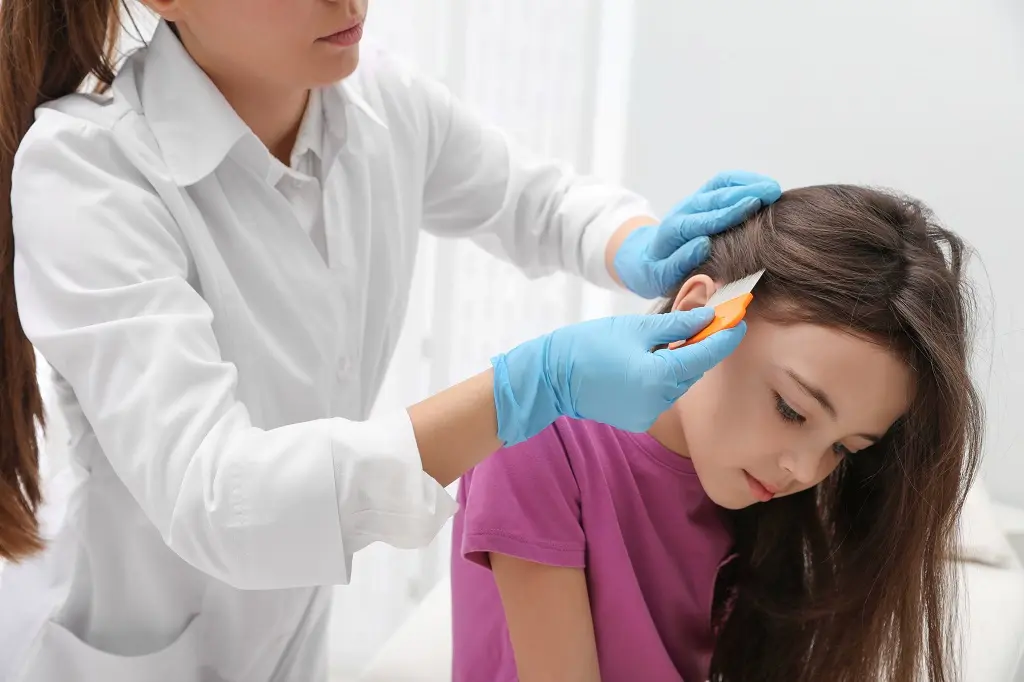 No Nit and No Lice Policy at School LiceDoctors